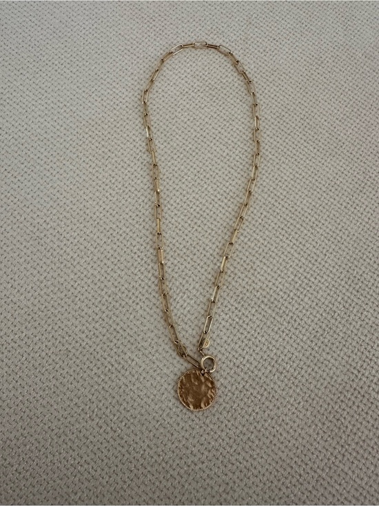 Sezane Jewelry - Sezane Chain Necklace with Textured Coin Charm